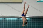 Women's Diving  Wheaton College Women’s Diving vs Mount Holyoke College. - Photo by Keith Nordstrom : Wheaton, Swimming & Diving
